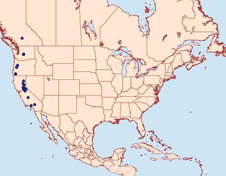 Distribution Data for Sympistis californiae