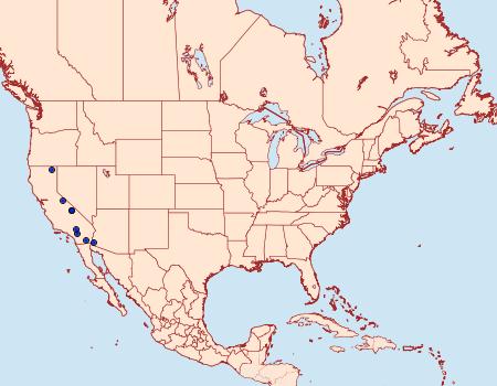 Distribution Data for Pseudethmia protuberans
