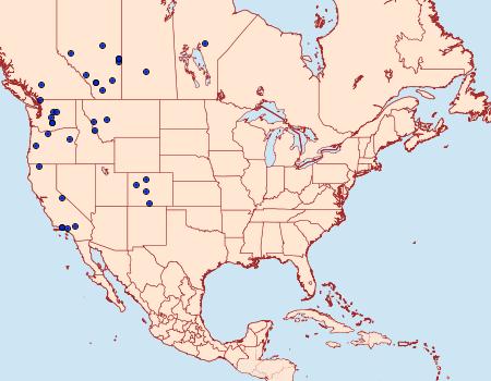 Distribution Data for Sympistis poliochroa