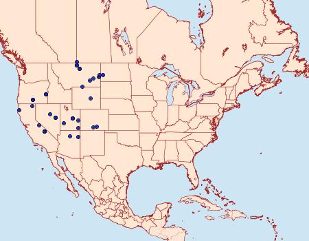 Distribution Data for Rhizagrotis stylata