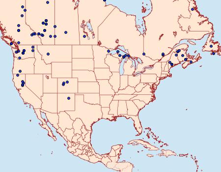 Distribution Data for Lacanobia radix