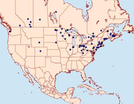 Distribution Data for Lacanobia grandis