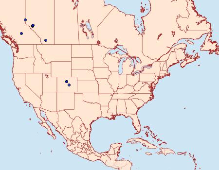 Distribution Data for Lasionycta quadrilunata