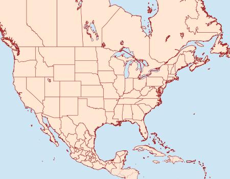 Distribution Data for Leucania rawlinsi