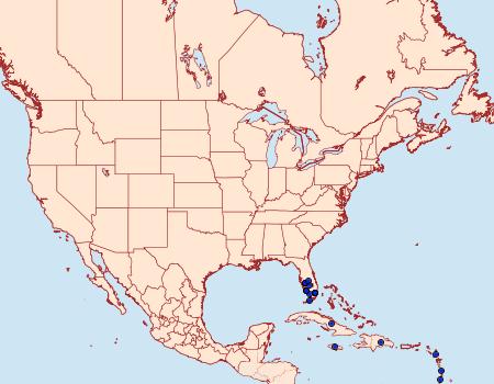 Distribution Data for Leucania senescens