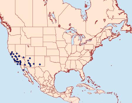 Distribution Data for Euxoa serricornis