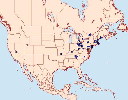 Distribution Data for Euxoa bostoniensis