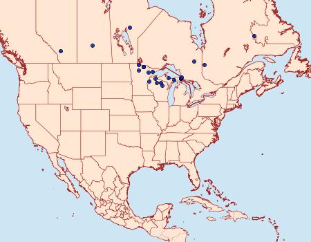 Distribution Data for Heliothis borealis