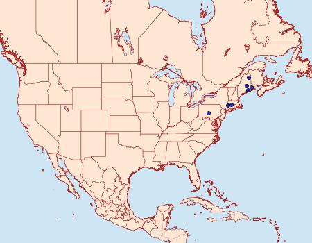 Distribution Data for Coleophora leucochrysella