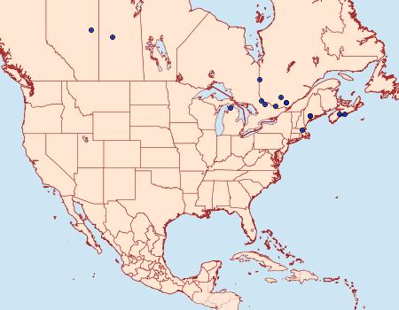 Distribution Data for Coleophora persimplexella