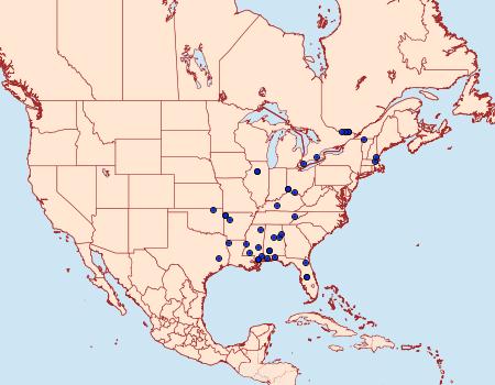Distribution Data for Coleophora laticornella