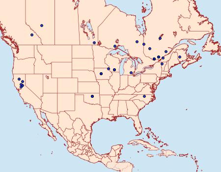 Distribution Data for Coleophora cornella
