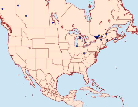 Distribution Data for Coleophora alnifoliae