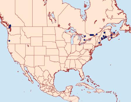 Distribution Data for Coleophora serratella