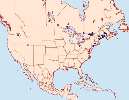 Distribution Data for Coleophora laricella