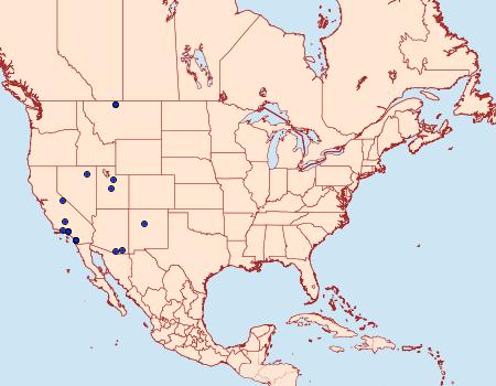 Distribution Data for Coleophora acamtopappi