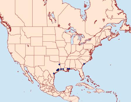 Distribution Data for Triclonella bicoloripennis