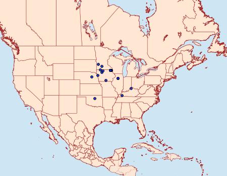 Distribution Data for Walshia amorphella