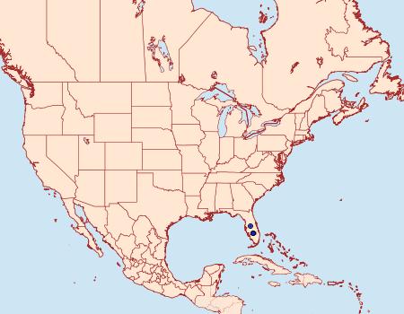 Distribution Data for Walshia floridensis