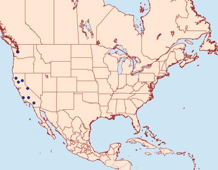 Distribution Data for Arla tenuicornis