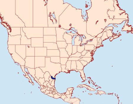 Distribution Data for Chionodes thyotes