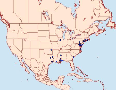 Distribution Data for Chionodes hibiscella