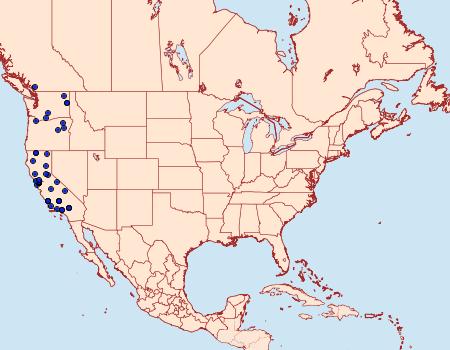 Distribution Data for Chionodes sabinianae