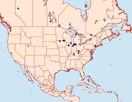 Distribution Data for Ochromolopis ramapoella