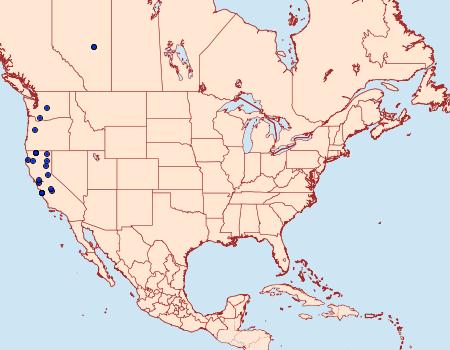 Distribution Data for Acrolepiopsis californica