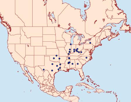 Distribution Data for Acrolepiopsis leucoscia