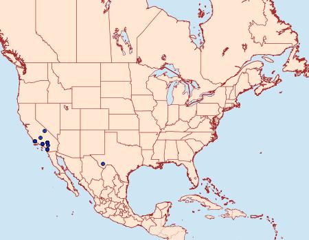 Distribution Data for Lithariapteryx jubarella