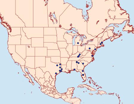 Distribution Data for Paranthrene asilipennis
