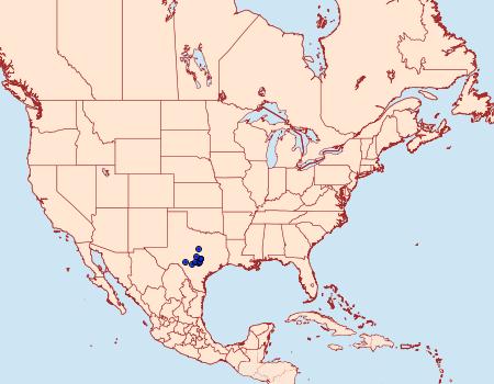 Distribution Data for Inguromorpha texasensis