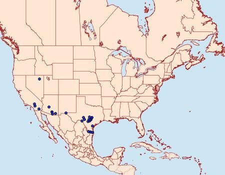 Distribution Data for Acrolophus griseus