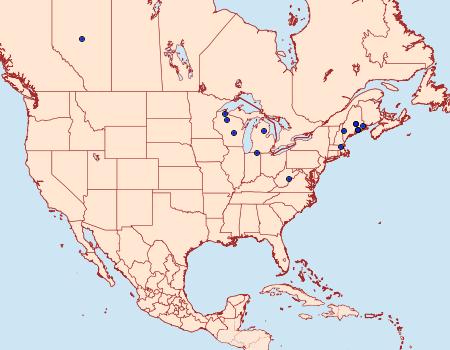 Distribution Data for Acleris hudsoniana
