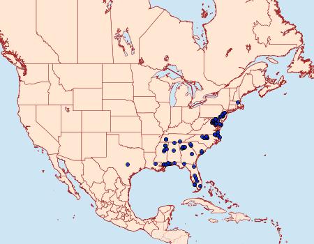 Distribution Data for Acrolophus panamae