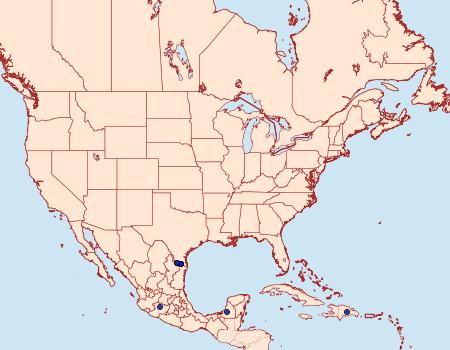 Distribution Data for Polythrix octomaculata