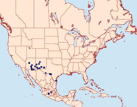 Distribution Data for Ancyloxypha arene