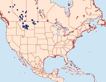 Distribution Data for Hesperia assiniboia