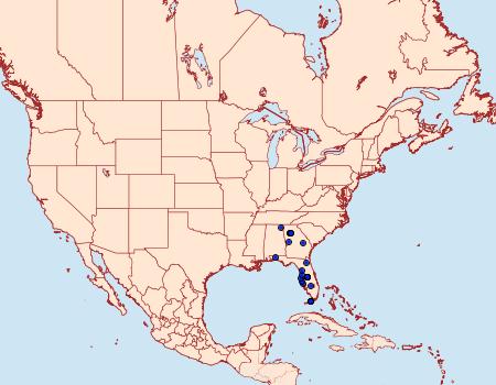 Distribution Data for Megathymus cofaqui