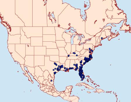 Distribution Data for Pterourus palamedes