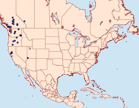 Distribution Data for Colias occidentalis