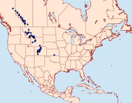 Distribution Data for Colias meadii