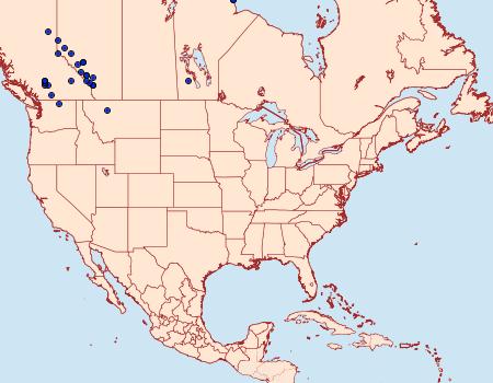Distribution Data for Colias nastes