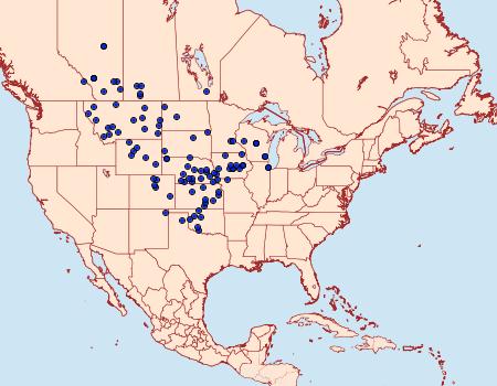 Distribution Data for Lycaena dione