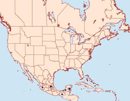 Distribution Data for Eumaeus toxea