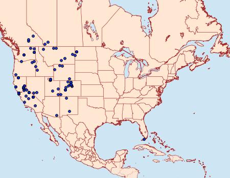 Distribution Data for Callophrys sheridanii
