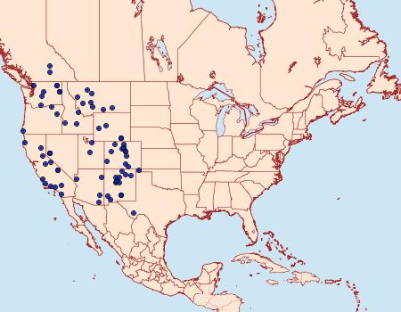 Distribution Data for Callophrys spinetorum