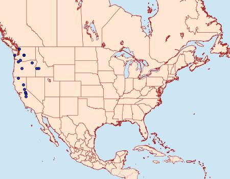 Distribution Data for Callophrys johnsoni