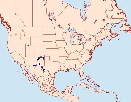Distribution Data for Callophrys mcfarlandi